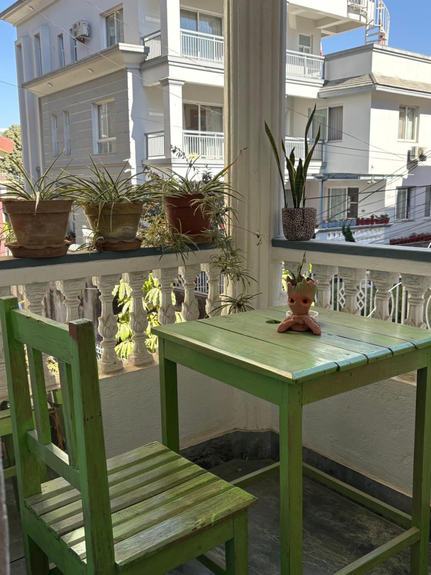 Drakon Nest Homestay Katmandú Exterior foto