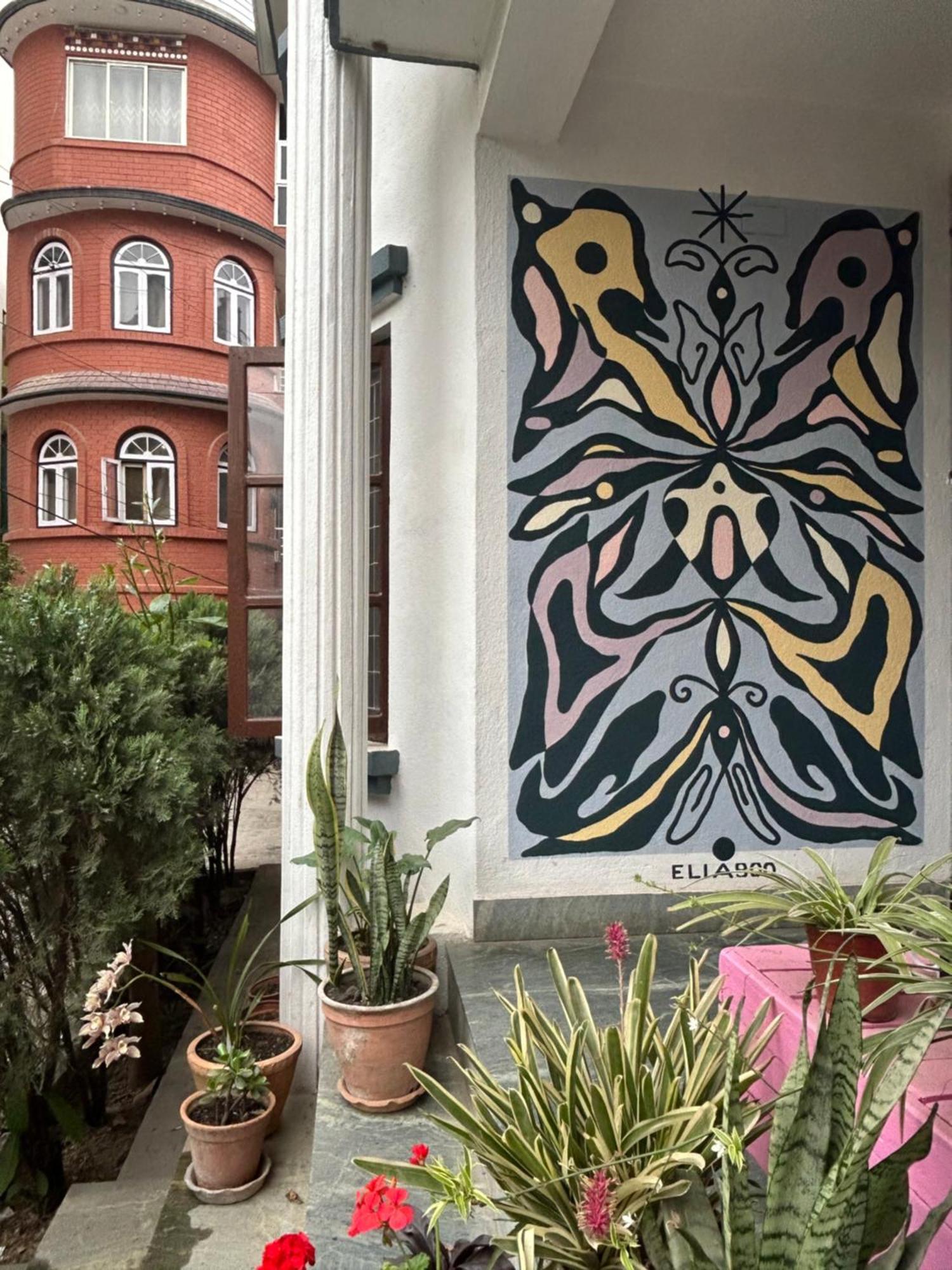 Drakon Nest Homestay Katmandú Exterior foto