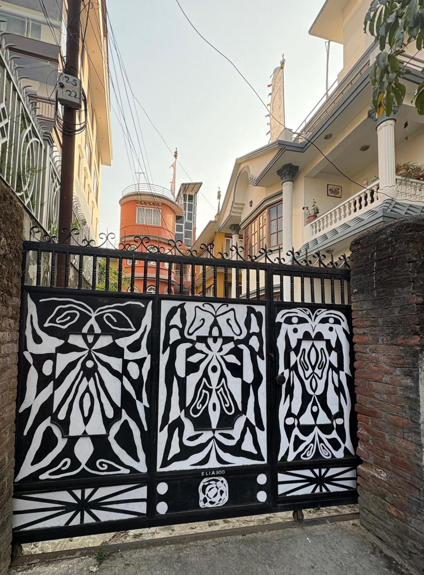 Drakon Nest Homestay Katmandú Exterior foto